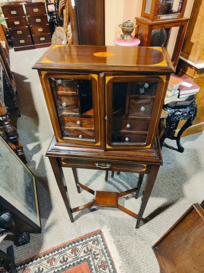 Edwardian collectors cabinet on stand