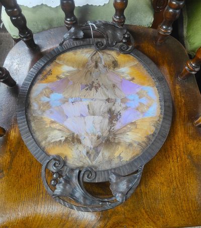 Bronze framed butterfly picture, signed