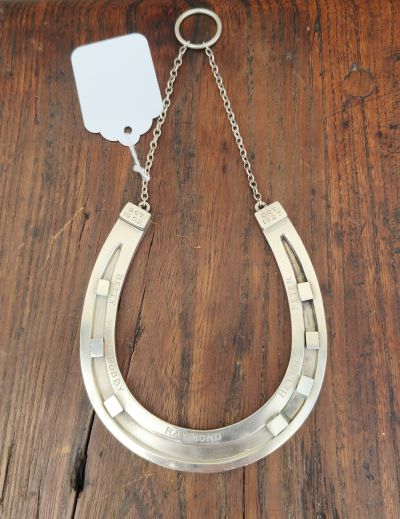 Silver horseshoe