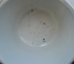 mettlach pottery jug / tankard (german) Thumbnail 3