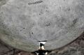 18th century irish cork silver bowl Thumbnail 4