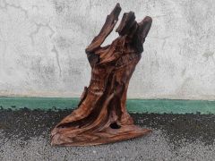 Piece of old drift wood Thumbnail 3
