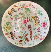 Chinese , cantonese plate Thumbnail 2