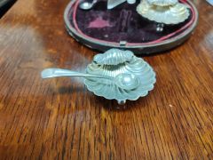 Set of four cased shell salts & spoons  Thumbnail 2