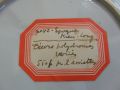 18th Century Chinese Plate. Thumbnail 3