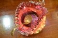 Ruby glass dish on gilt plated stand Thumbnail 3